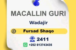 Fursad Shaqo Macallimad Diini ah